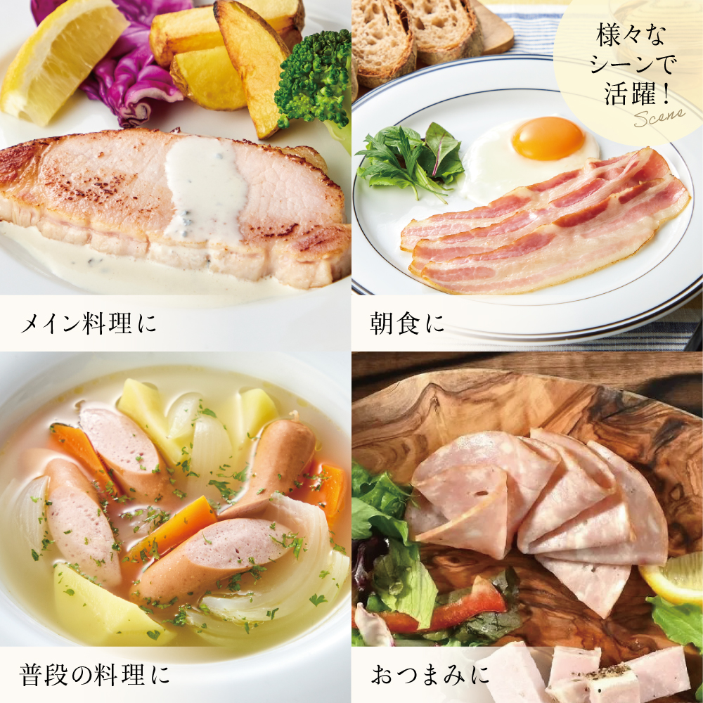 【定期便3回：3ヶ月連続】マイスター山野井 ハム・ソーセージ 5種（計10P） ウインナー ベーコン ハム スライス 肉 詰め合わせ 詰合せ セット 小分け 定期配送  鹿児島 山野井