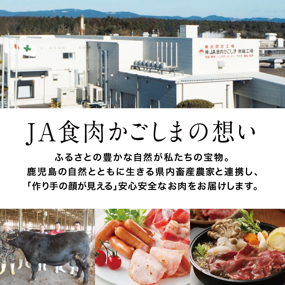 【和牛日本一】5等級 鹿児島黒牛 サーロインステーキ2枚・すきやき用600g 黒毛和牛 牛肉 冷凍 リブロース カタロース バーベキュー BBQ JA食肉かごしま