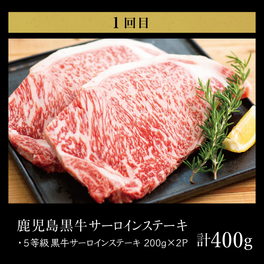 【JA食肉かごしま】鹿児島黒牛お試し定期便(全3回) 和牛日本一 鹿児島黒牛 黒毛和牛 牛肉 霜降り 赤身 ステーキ 焼肉 焼き肉 BBQ すき焼き しゃぶしゃぶ 定期便 JA食肉かごしま