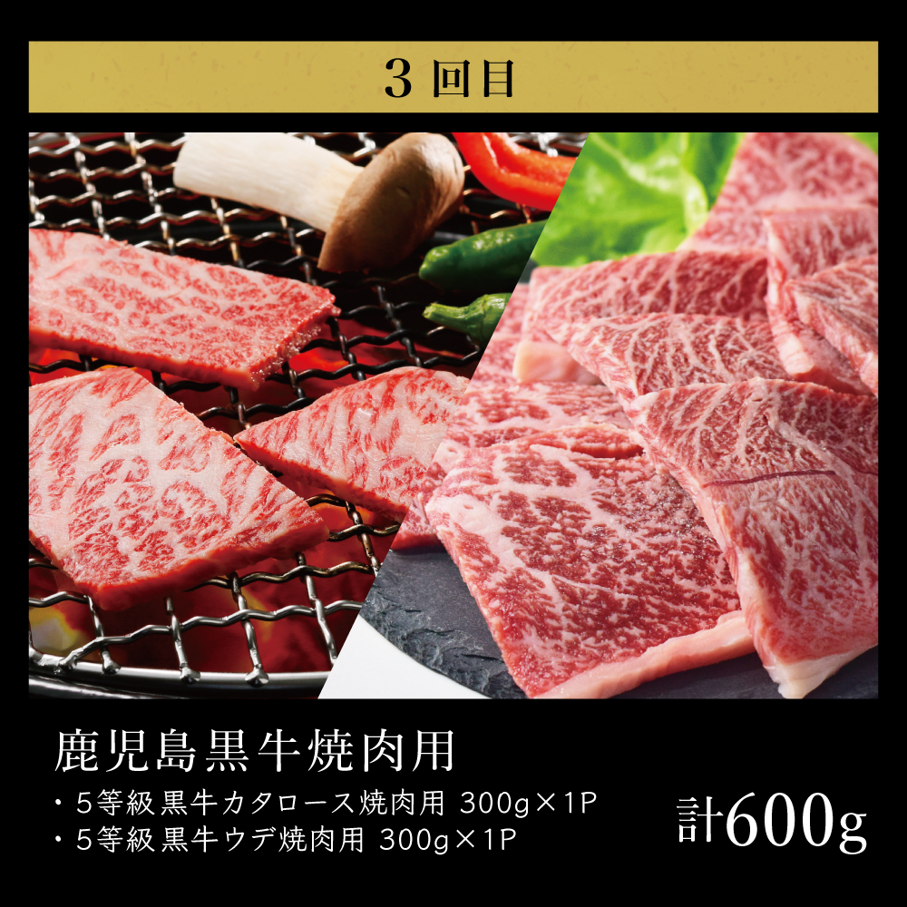 【JA食肉かごしま】鹿児島黒牛お試し定期便(全3回) 和牛日本一 鹿児島黒牛 黒毛和牛 牛肉 霜降り 赤身 ステーキ 焼肉 焼き肉 BBQ すき焼き しゃぶしゃぶ 定期便 JA食肉かごしま
