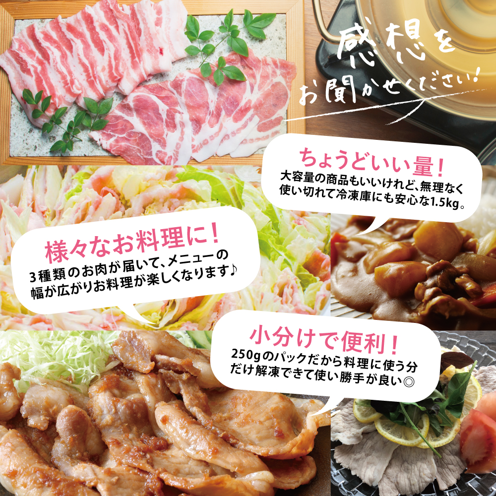 【鹿児島県産】豚3種類セット ★容量が選べる★ 計1.5kg/計3kg 豚肉 ロース バラ スライス 肩ロース しゃぶしゃぶ 生姜焼き お肉 国産 小分け 冷凍 カミチク 南さつま市