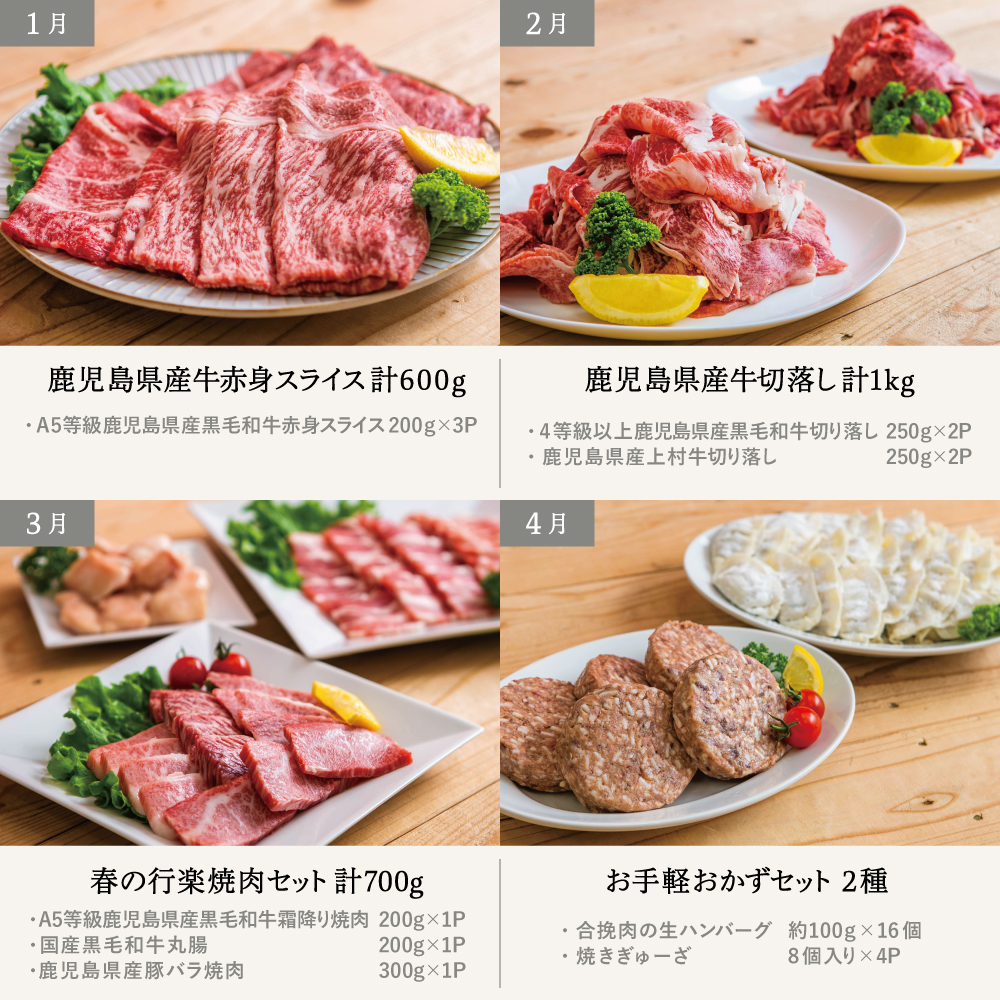 【定期便 全12回】情熱牧場 鹿児島県産お肉の定期便 スタンダードコース お肉 牛肉 豚肉 ステーキ すき焼き しゃぶしゃぶ 焼肉 角煮 ハンバーグ 餃子 冷凍