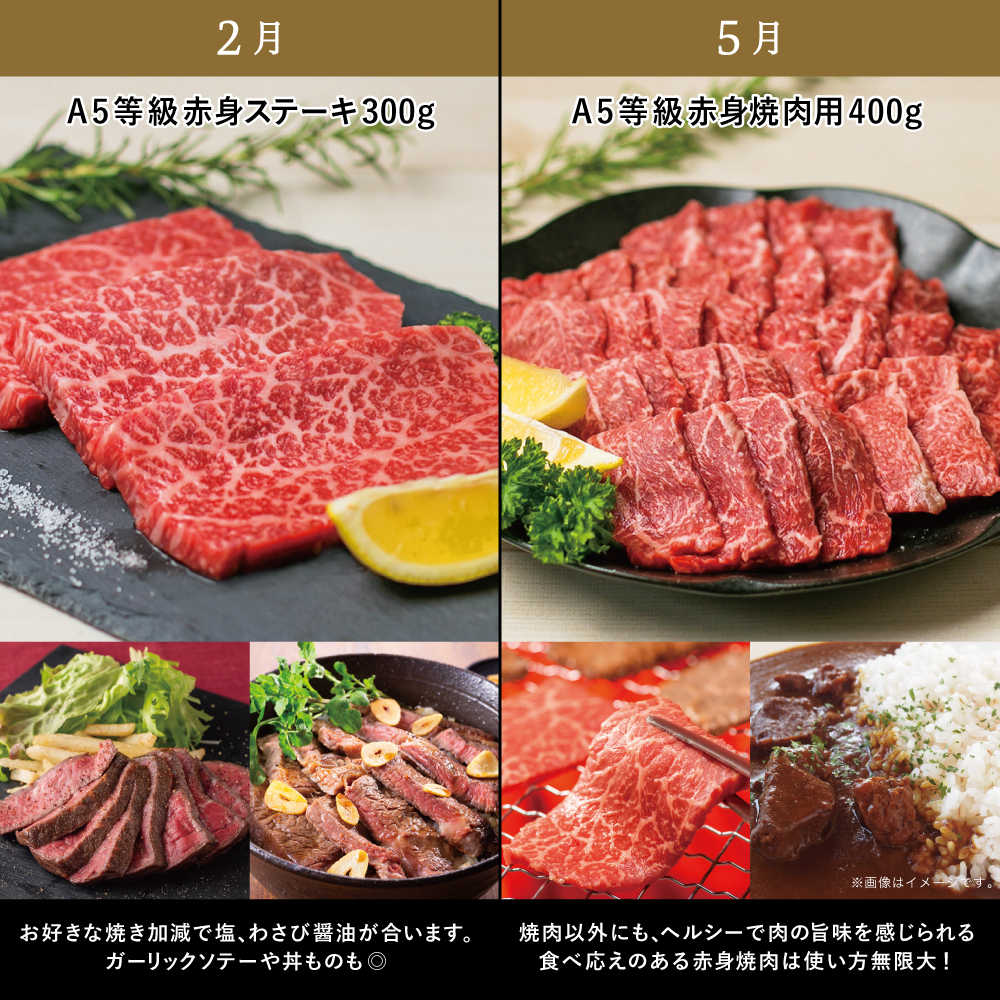 【特撰定期便 全4回】A5等級 黒毛和牛 赤身定期便 赤身部位 ステーキ すき焼き しゃぶしゃぶ 焼肉 鹿児島県産