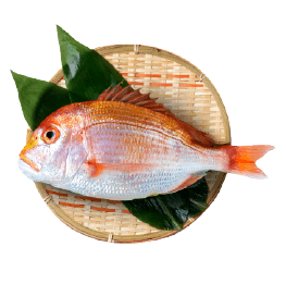 魚アイコン