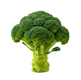 野菜アイコン
