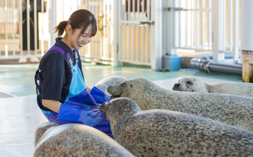 自治体の魅力イメージ