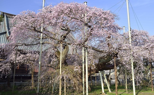 自治体の魅力イメージ
