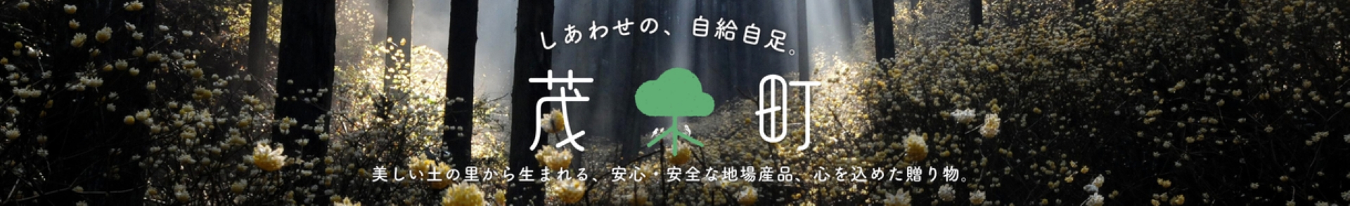 栃木県茂木町メインバナー