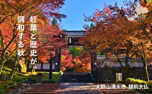 自治体の魅力イメージ