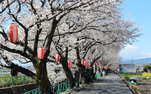 自治体の魅力イメージ