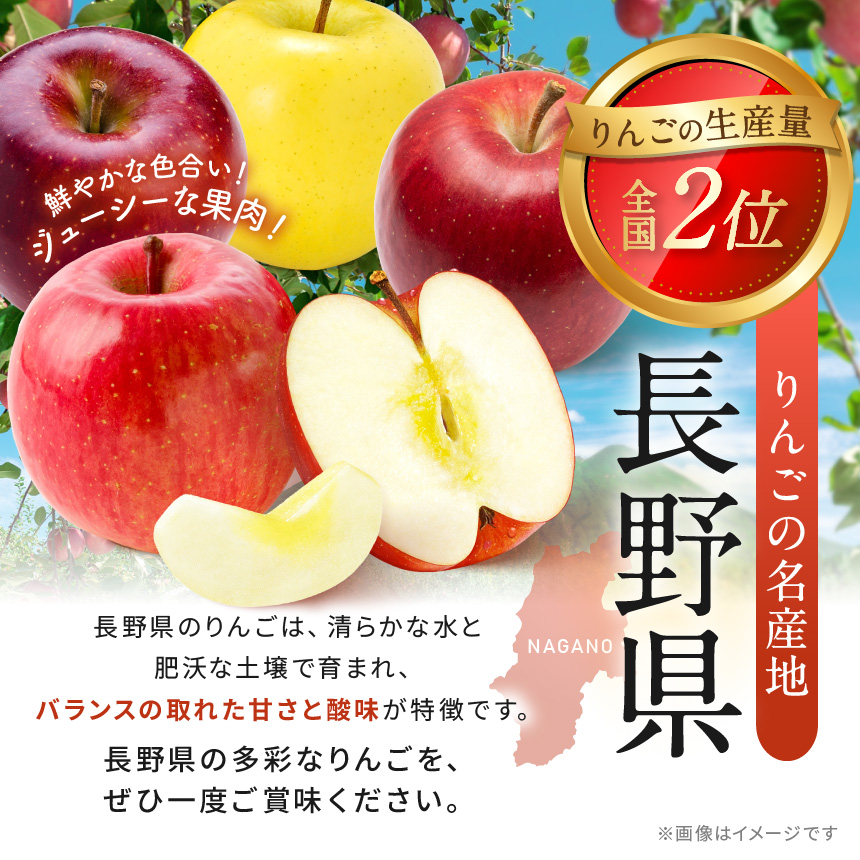 自治体の魅力イメージ