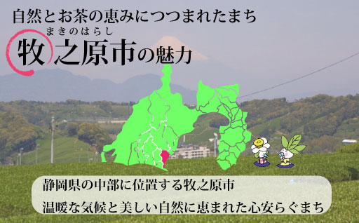自治体の魅力イメージ
