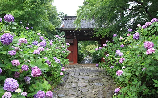 自治体の魅力イメージ