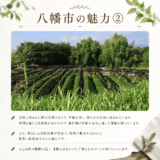 自治体の魅力イメージ