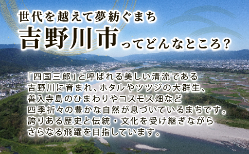 自治体の魅力イメージ