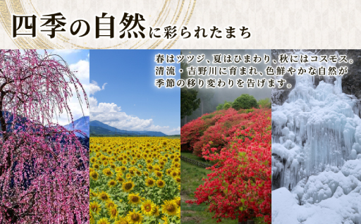 自治体の魅力イメージ
