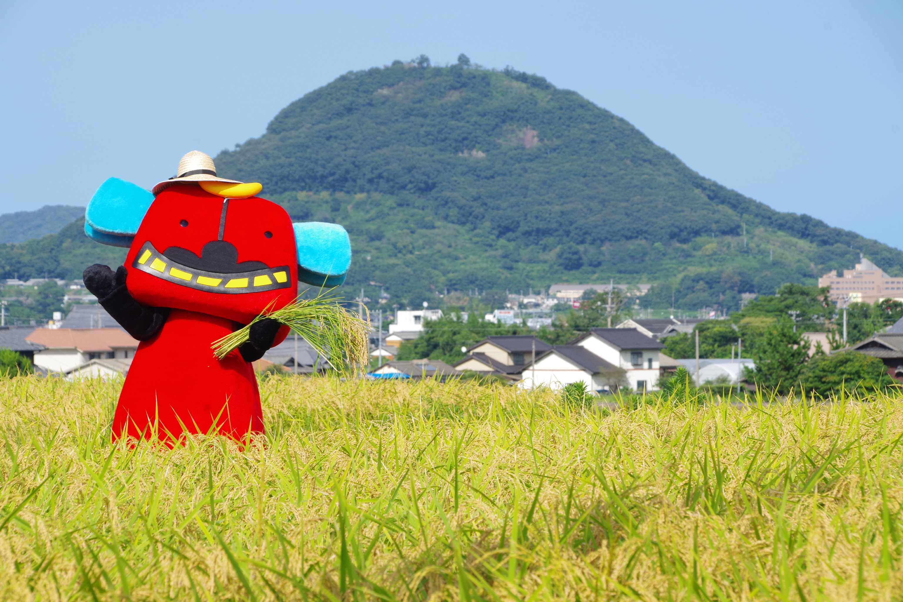 香川県三木町メインバナー