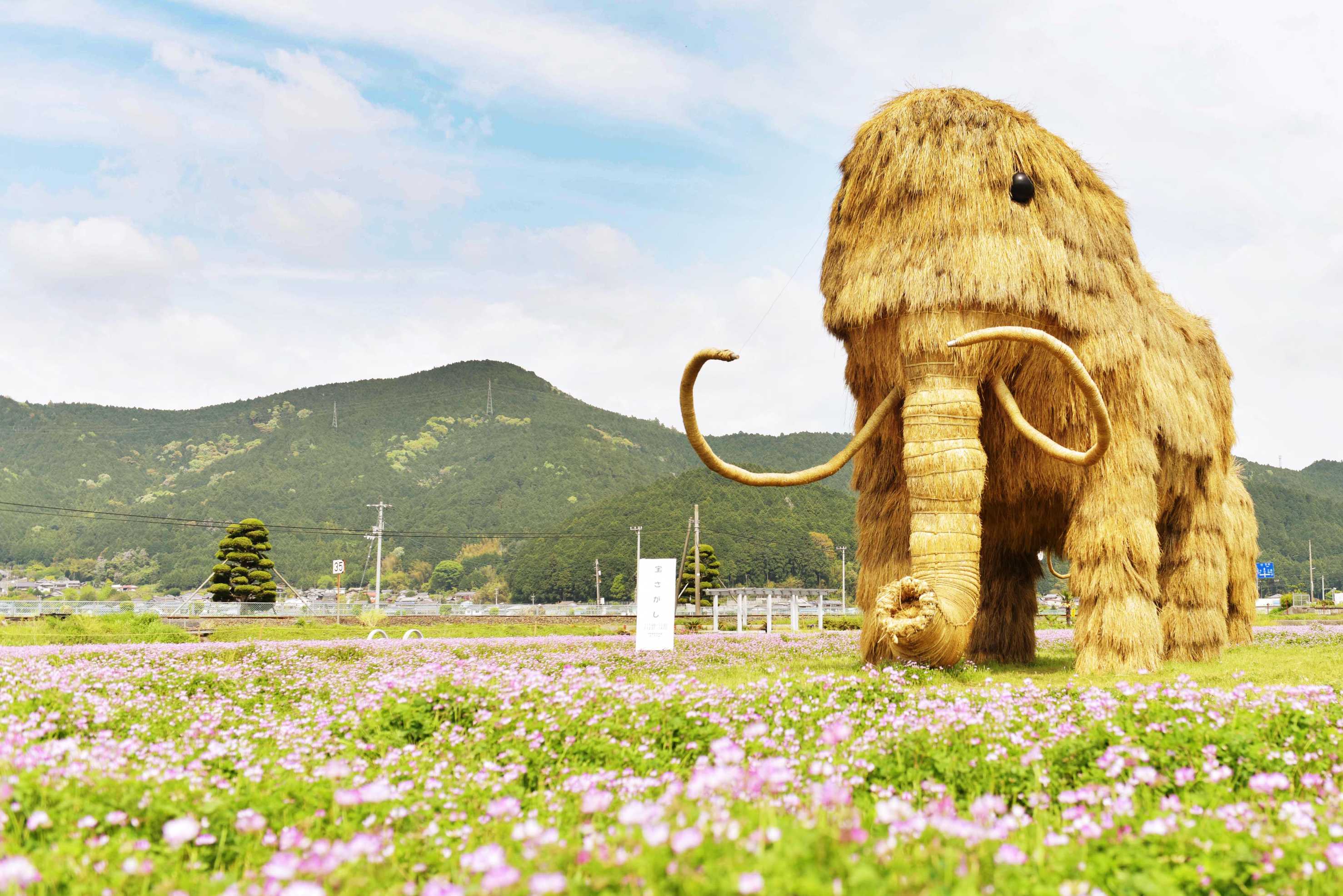 自治体の魅力イメージ