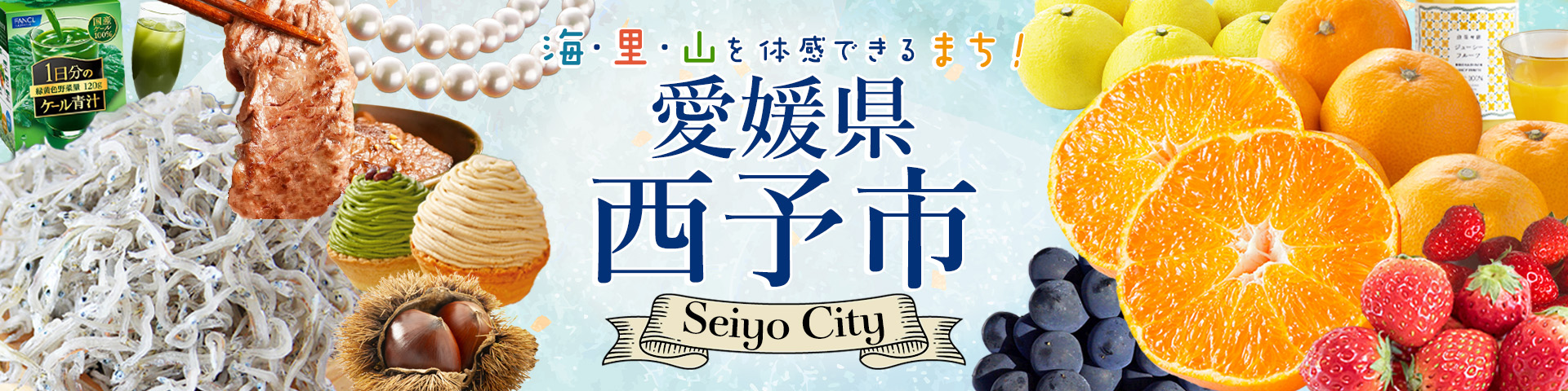愛媛県西予市メインバナー