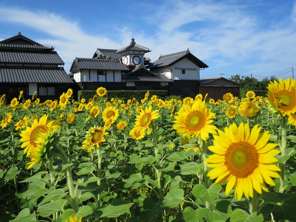 自治体の魅力イメージ