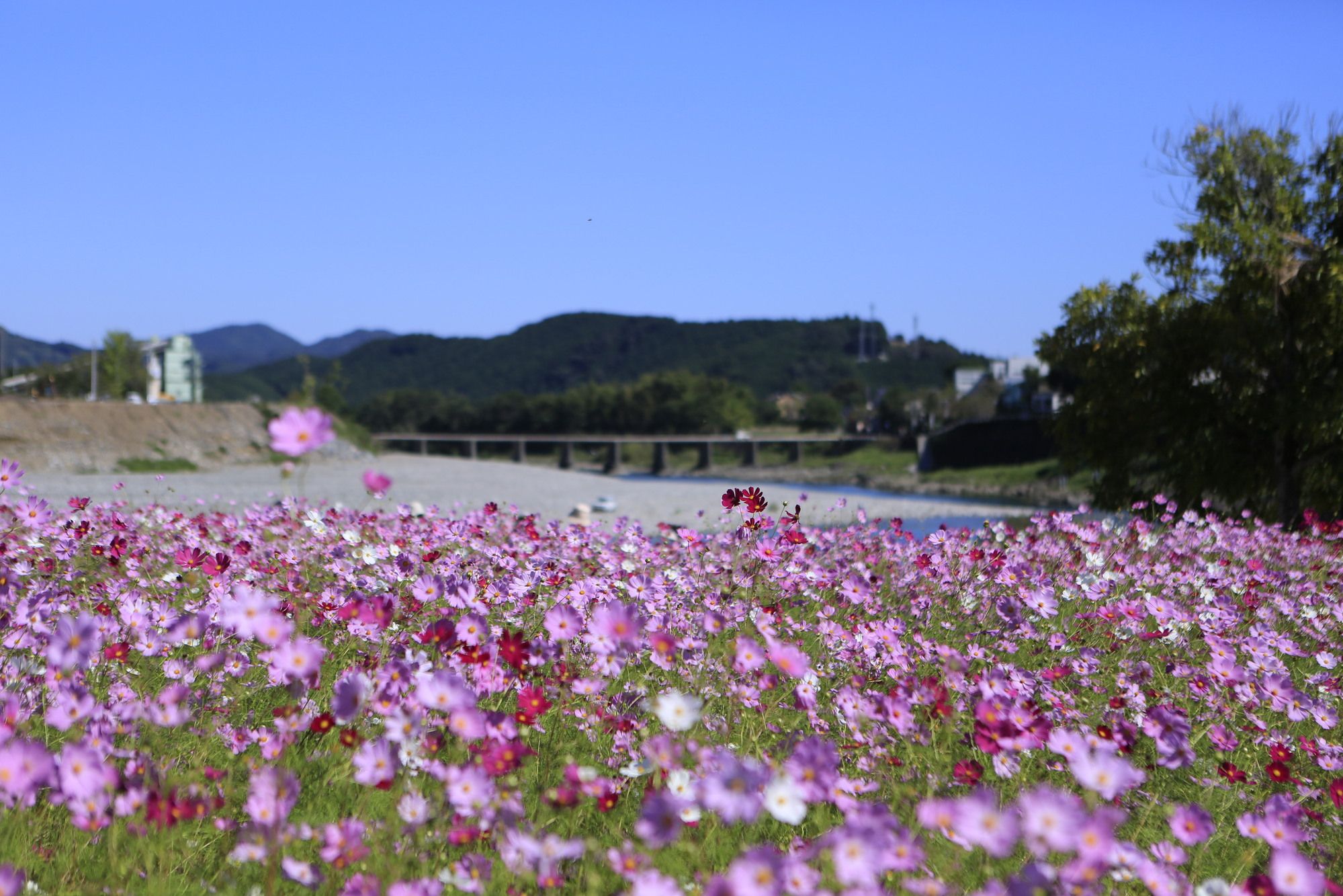 自治体の魅力イメージ