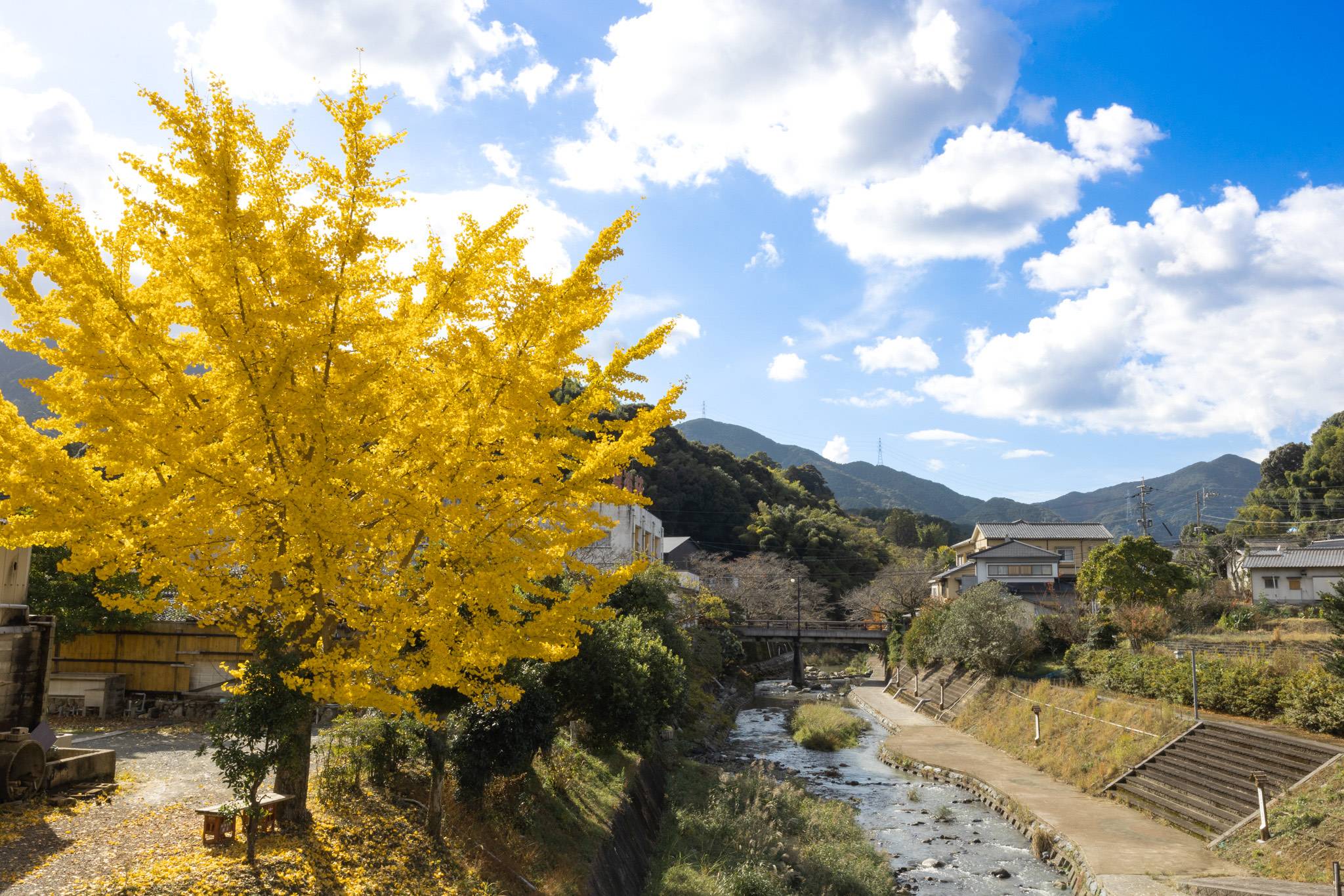 自治体の魅力イメージ