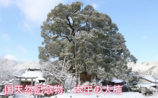 自治体の魅力イメージ