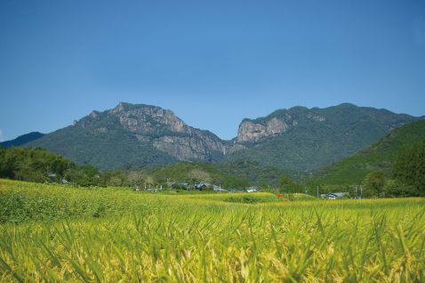 自治体の魅力イメージ